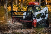  Fecon Bull Hog Blackhawk SSL & CTL Skid Steer